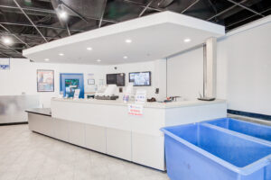 A modern postal service counter with various informational signs and brochures. There are computer monitors and a blue bin. The area is brightly lit with white tile flooring and a black ceiling grid.